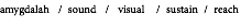 amygdalah / sound / visual / sustain / reach